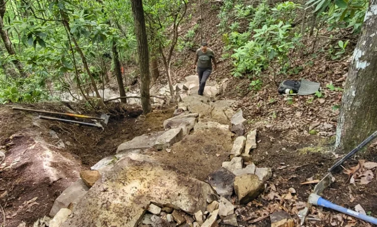 Audubon Section in Hamilton County