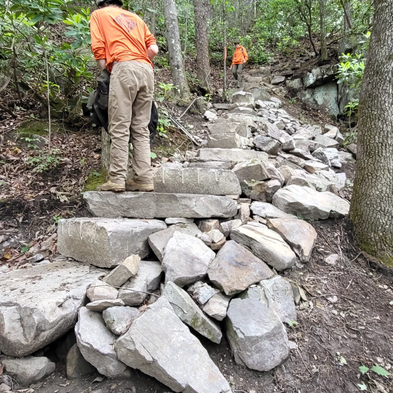 Audubon Section in Hamilton County