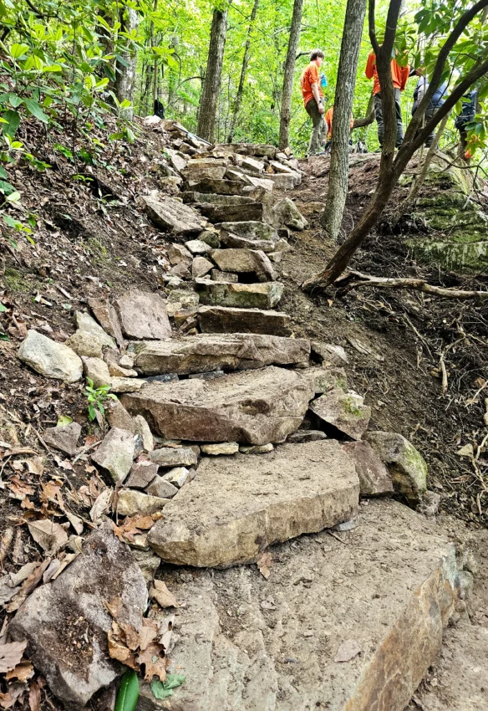 Audubon Section in Hamilton County