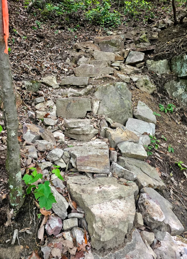 Audubon Section in Hamilton County
