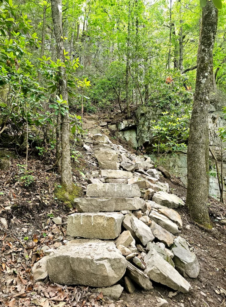 Audubon Section in Hamilton County
