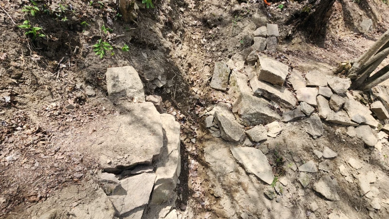 Bird Mountain Section in Morgan County