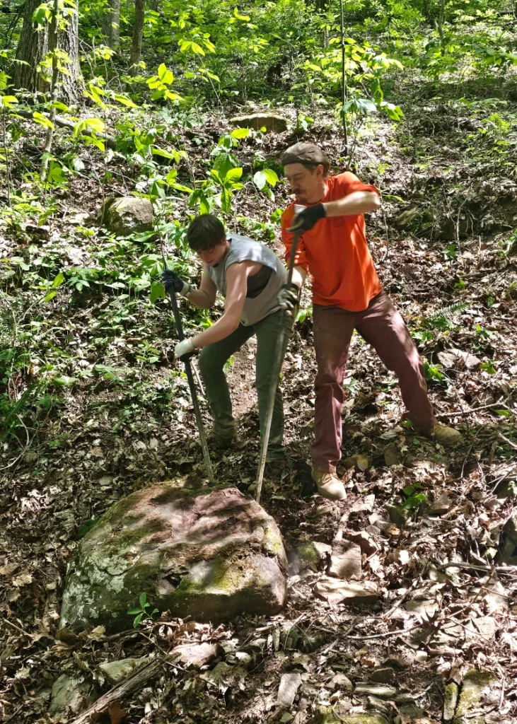 Bird Mountain Section in Morgan County