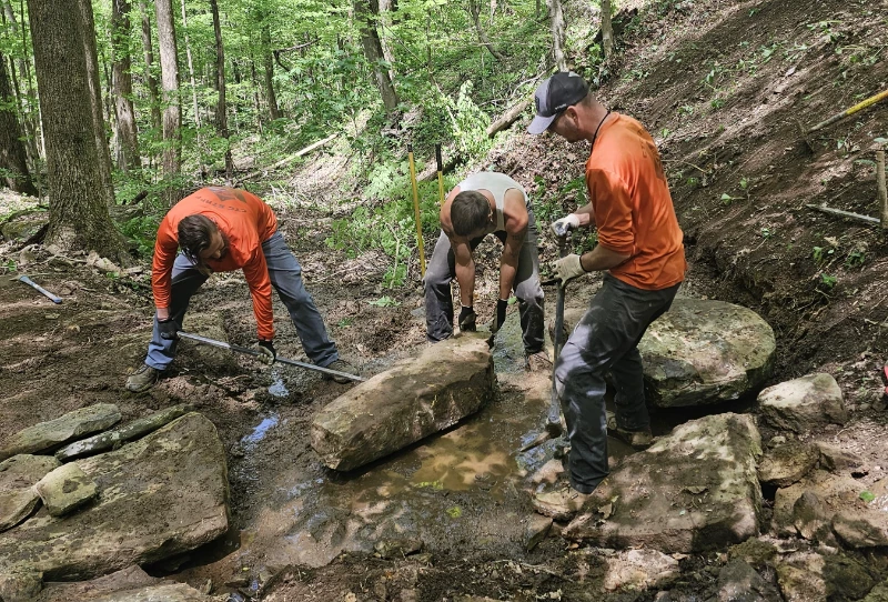 Bird Mountain Section in Morgan County