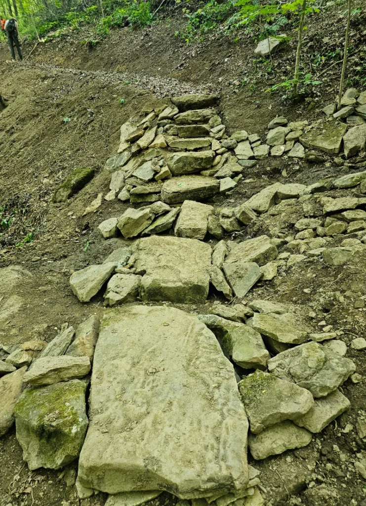 Bird Mountain Section in Morgan County