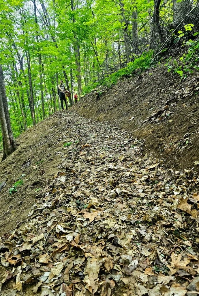 Bird Mountain Section in Morgan County