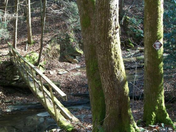 Footbridge at Greens Branch (Willie Beaty)