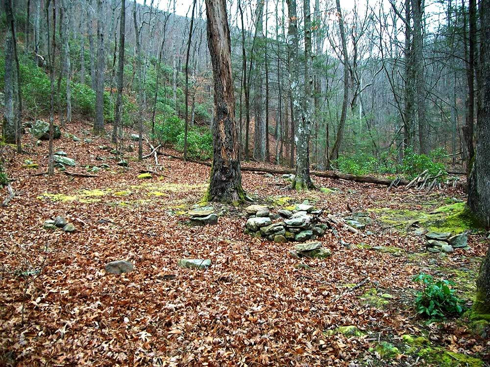 Montgomery Fork Campsite (Willie Beaty)