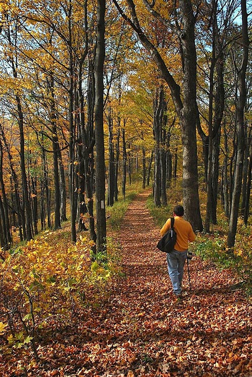 Fall hiking along Lawson Mountain Section (Barbara Stagg)