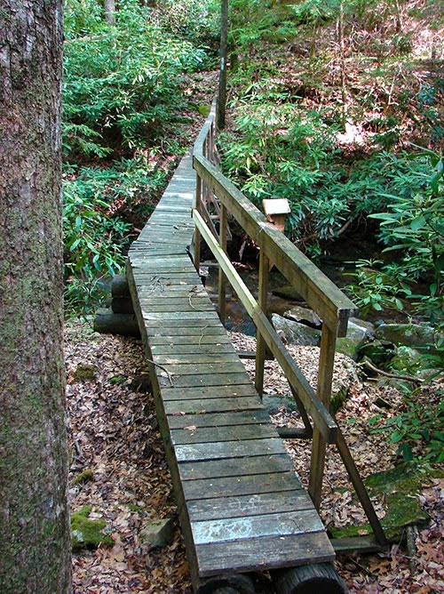 Bridge over Turkey Creek (Mark Stanfill)