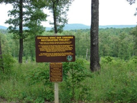 Catoosa Oak Savannah Recovery Area (Mark Stanfill)