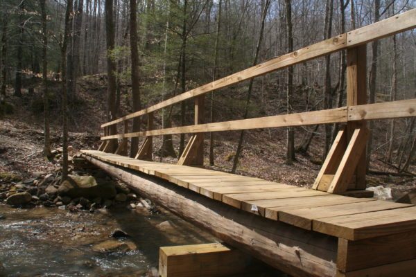 Footbridge over Straight Fork Creek (Bobby Trotter)