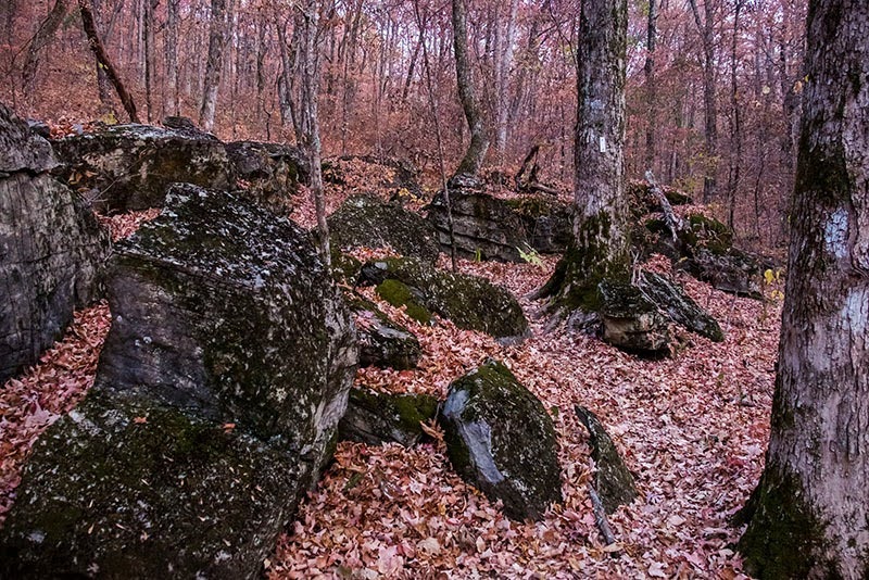 Black Mountain Mile 2