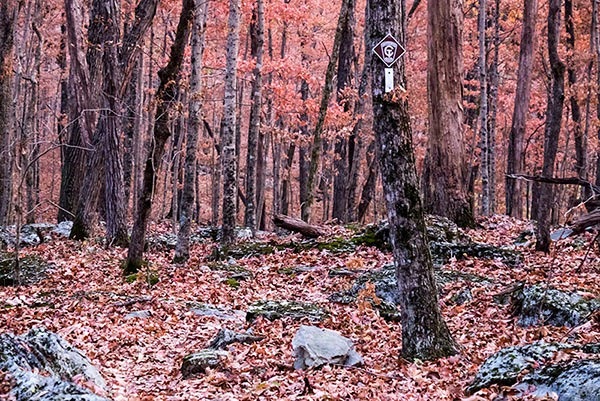 CTC “confidence marker” over white blaze near Windlass Cave spur trail. (Stephens)