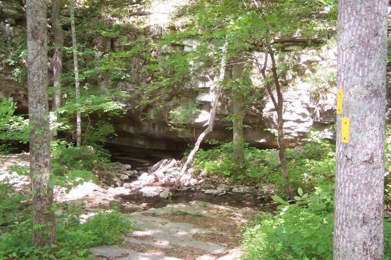 Windlass Cave on a side trail marked with yellow blazes. Three streams converge here and disappear into the cave. (Stephens)
