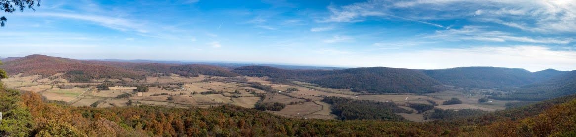 Grassy Cove From Brady Bluff (Stephens)