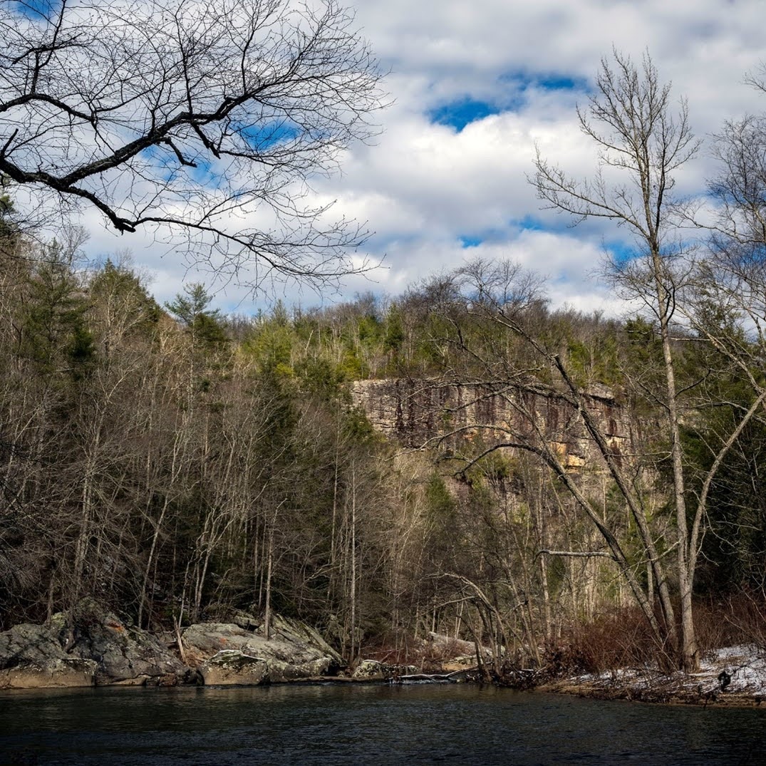 Looking Downstream on Daddys Creek Just Past the Campsite (Stephens)