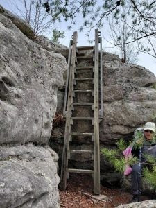 Ladder – Deb Westervelt