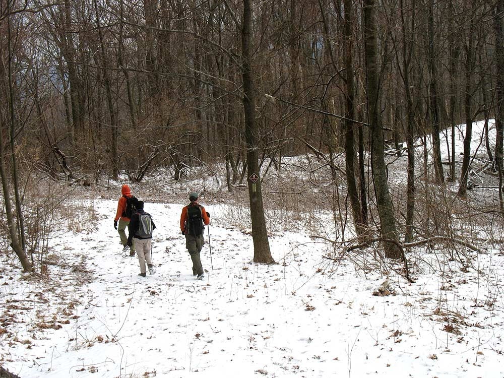 Winter Hike in Frozen Head (Jean Gauger) 