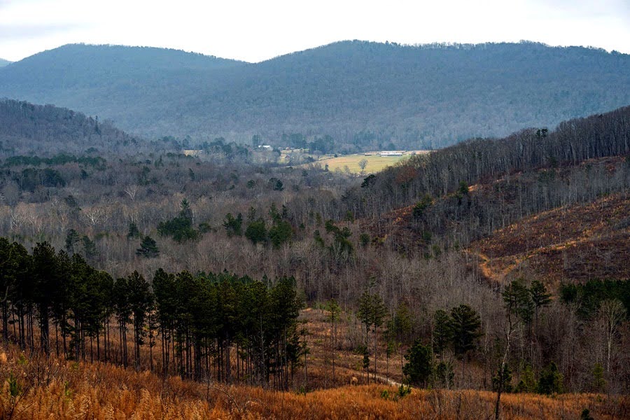 The view of Cranmore Cove after crossing Brayton Mountain Road (Stephens)