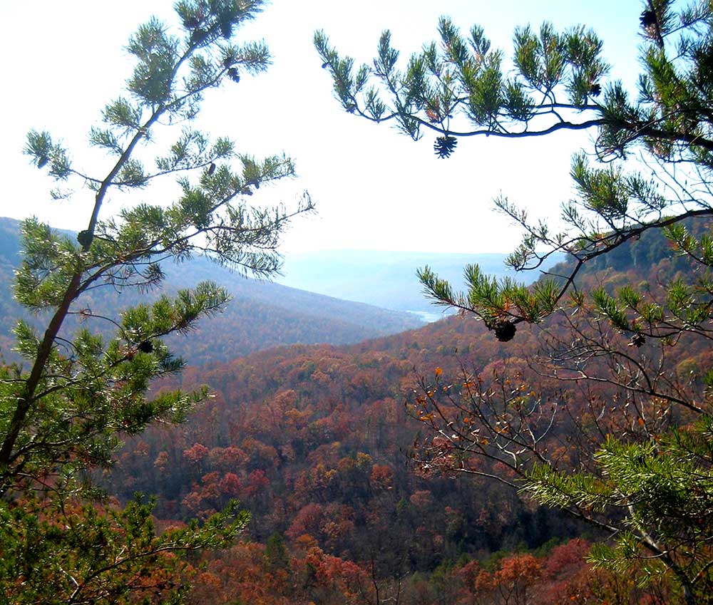 Mullens Cove Overlook (Christy O’Flaherty)