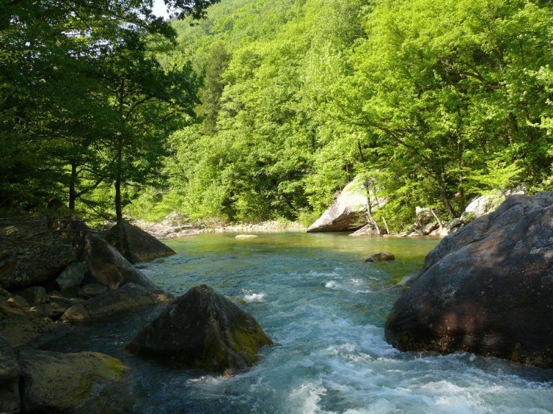 North Chickamauga Creek (Gary Keckley)