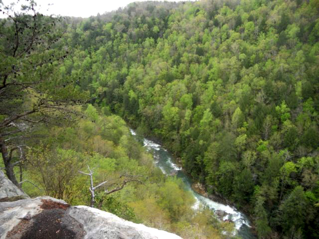 Panther Branch Overlook (Tom Becktold)