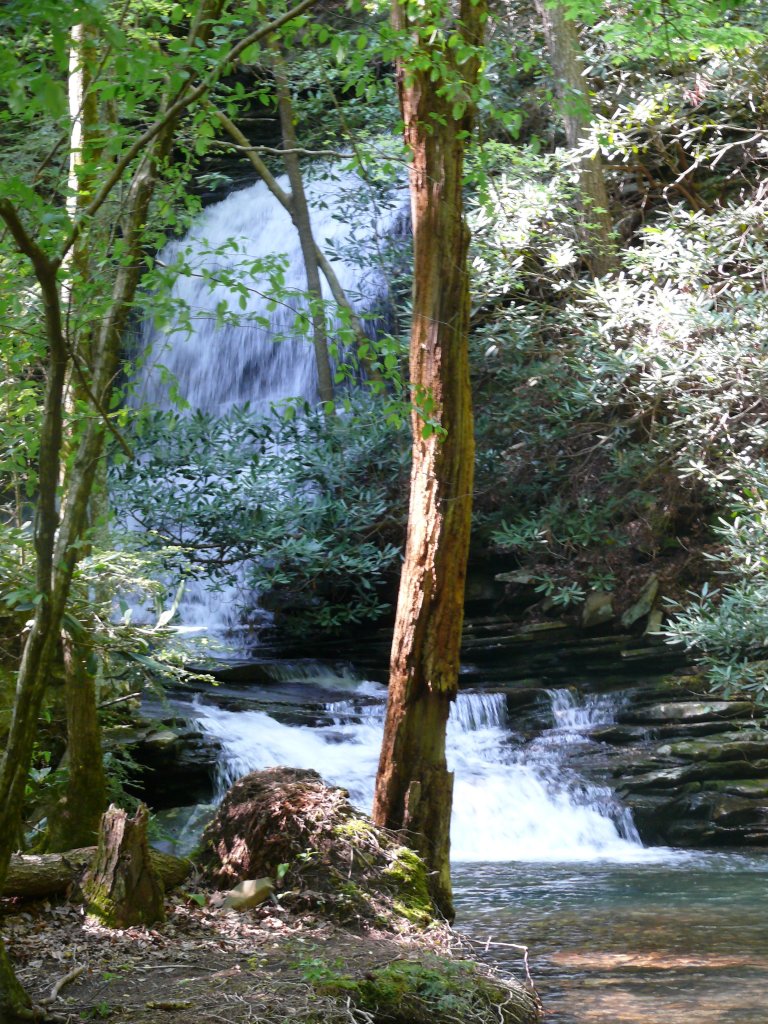 Stevenson Branch Falls (Gary Keckley)
