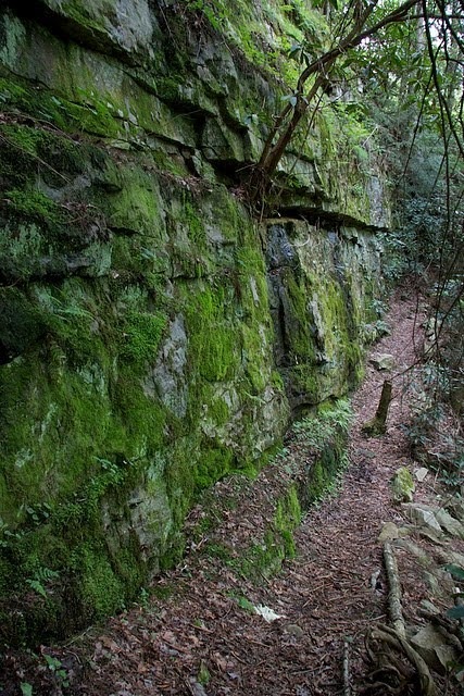 Moss covered wall between ladder and Rock Creek Bridge (Ron Shrieves)