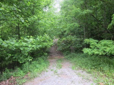 Headed toward Wilson Gap (Sharon Petro)