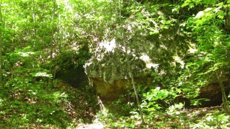 Rock Outcrop along the Cumberland Trail (Sharon Petro)