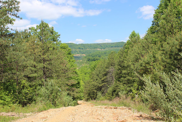 Carr Gap Road