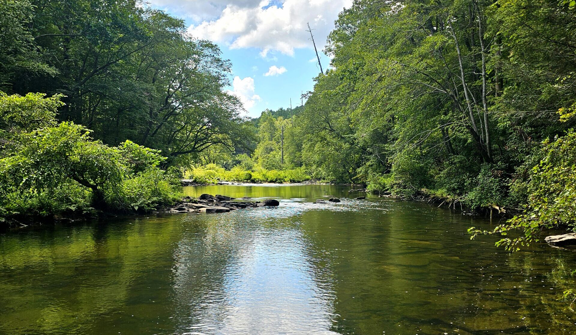 Daddy's Creek