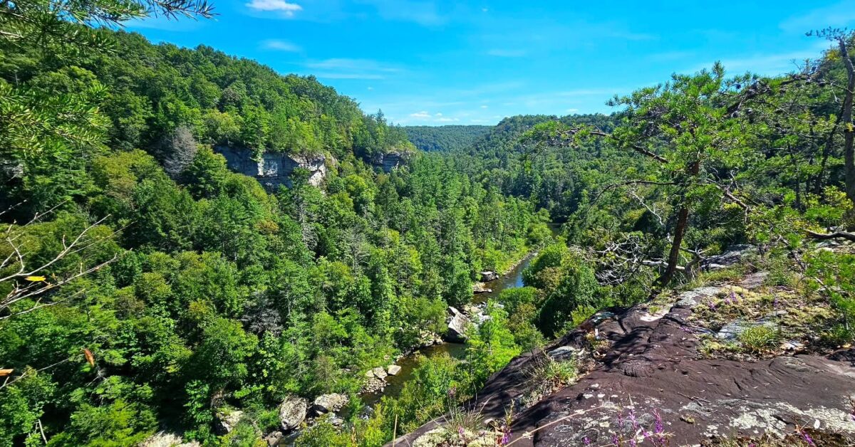 Daddy's Creek overlook