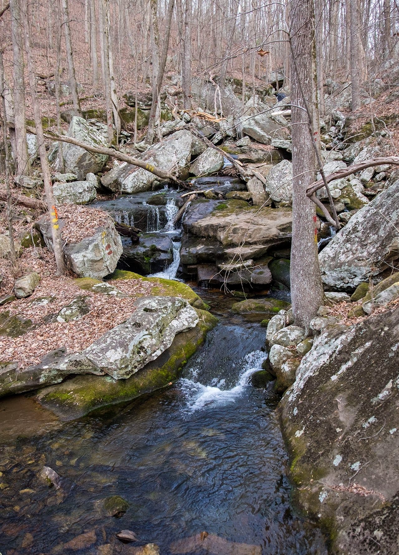 Gilbreath Falls Mile 4.9 (4.1) on the Graysville Section. (Stephens)