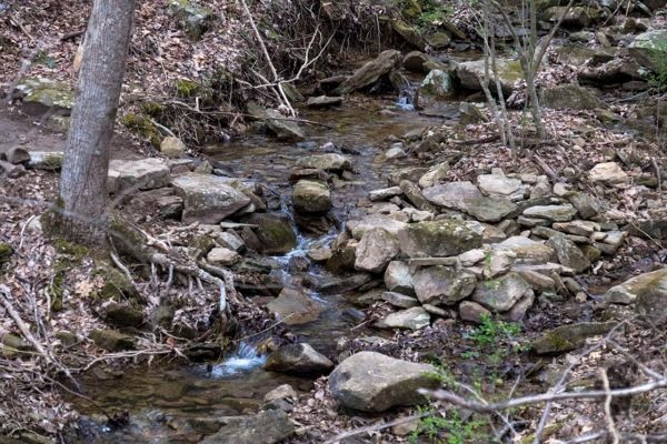 The trail crosses the head waters of Sale Creek. (Stephens)