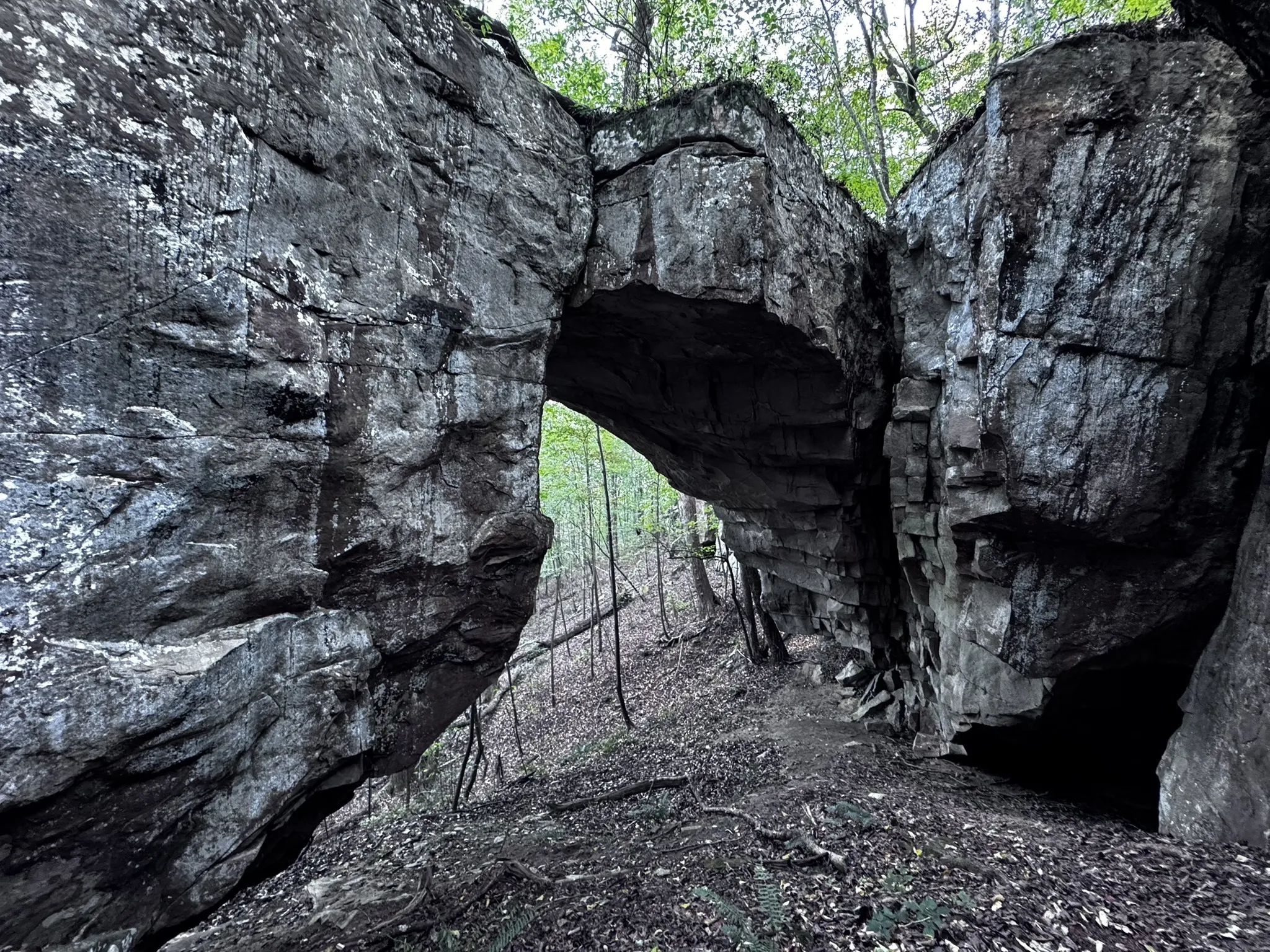 Natural Bridge