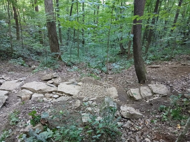 Bird Mountain: June Trail Crew Update