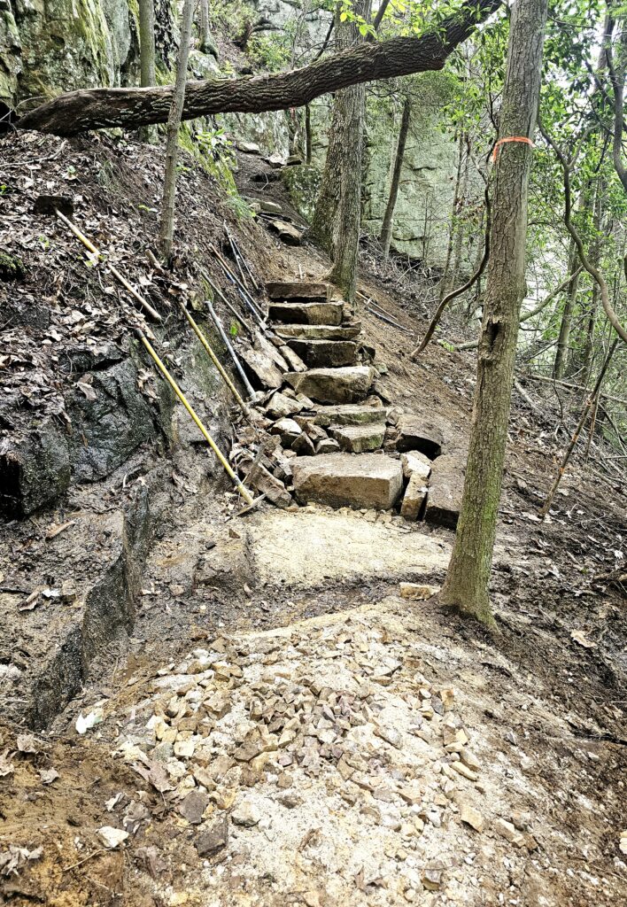 Audubon section staircase