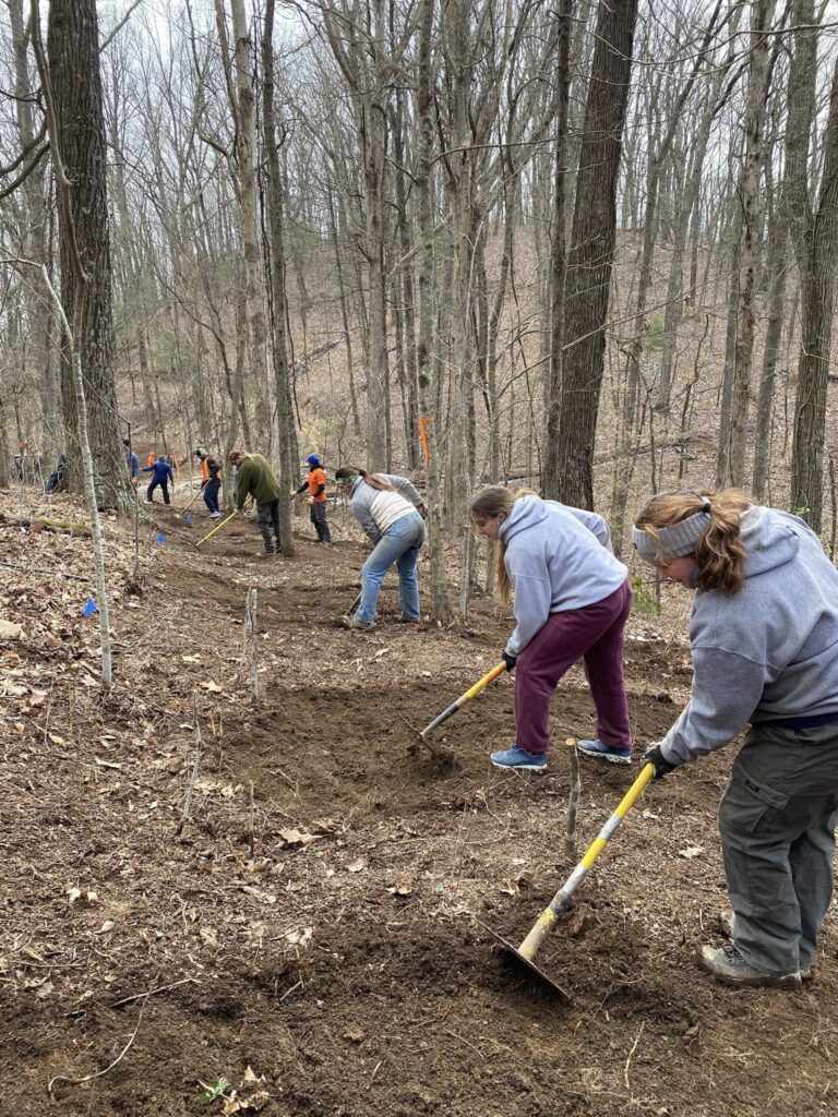 Students using hand tools to pull the duff layer from the trail tread