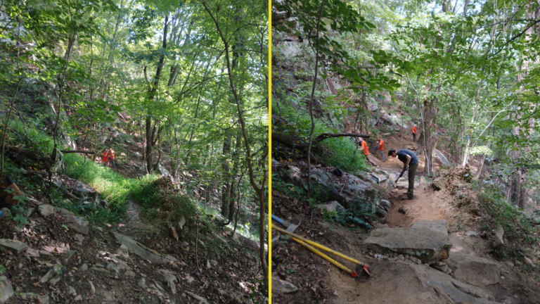 Audubon Mountain: August Trail Crew Update