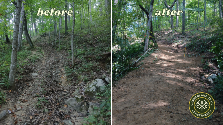 Bird Access Road - Before and After