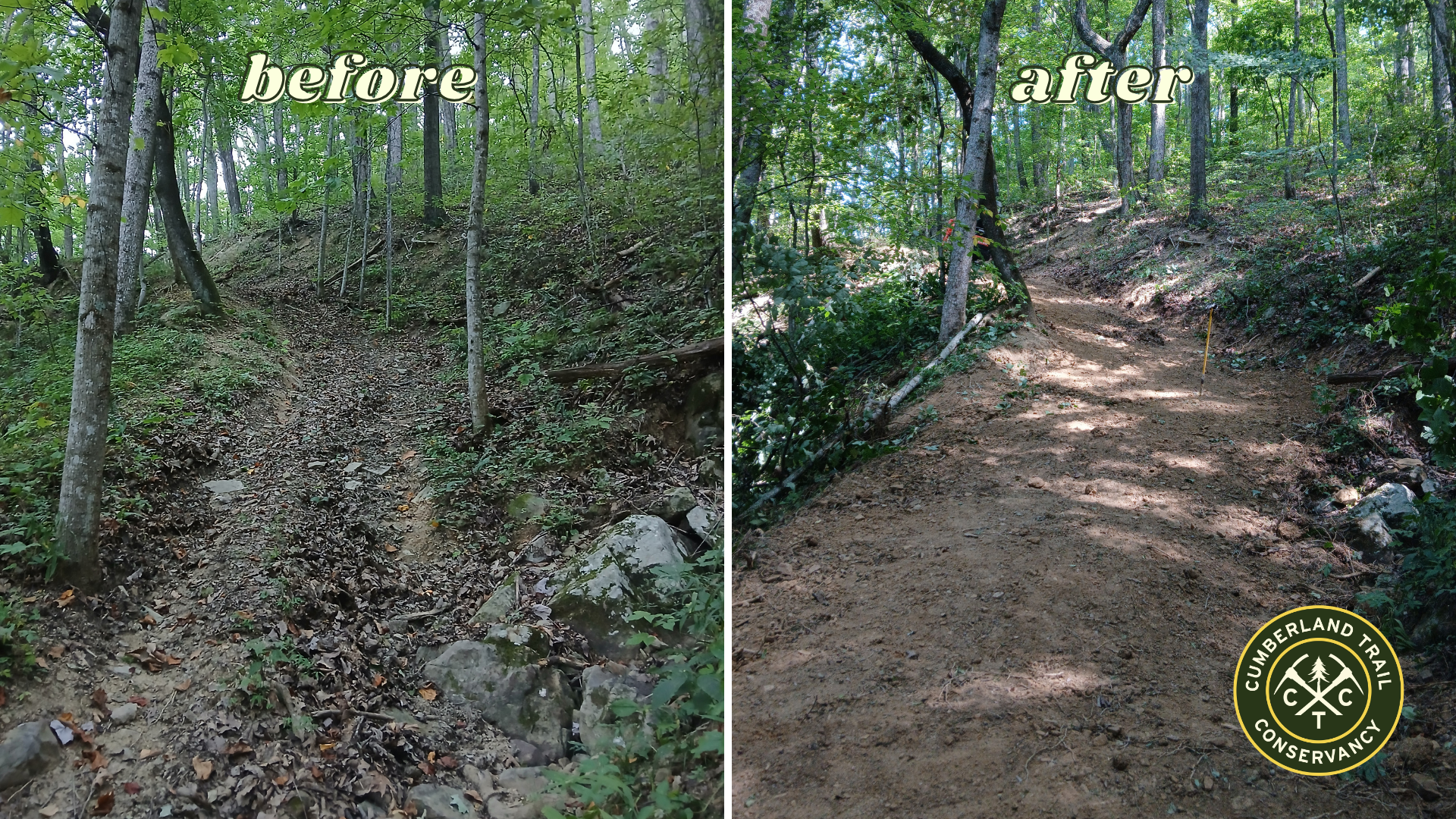 Bird Access Road - Before and After