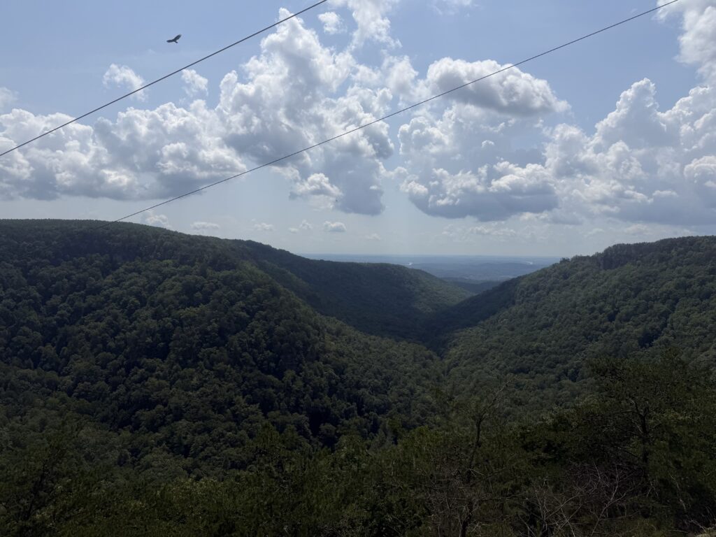Dunn Overlook
