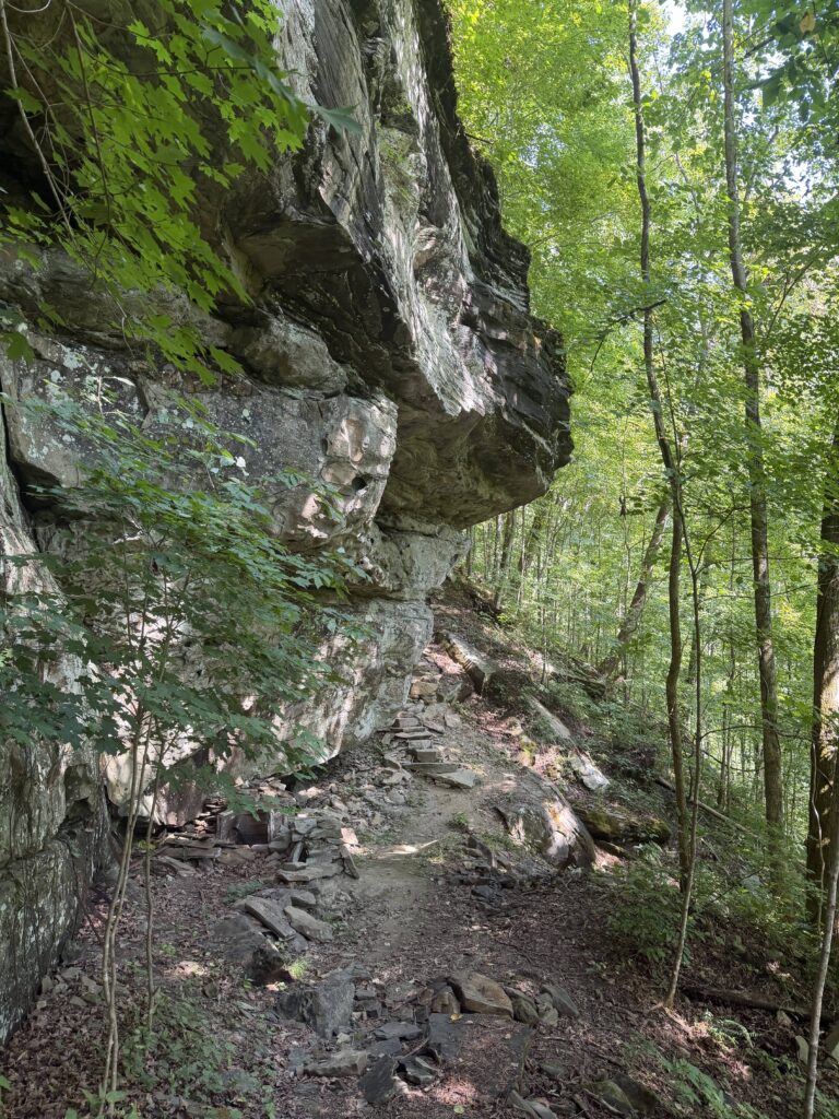 Rock Steps along the Bluff